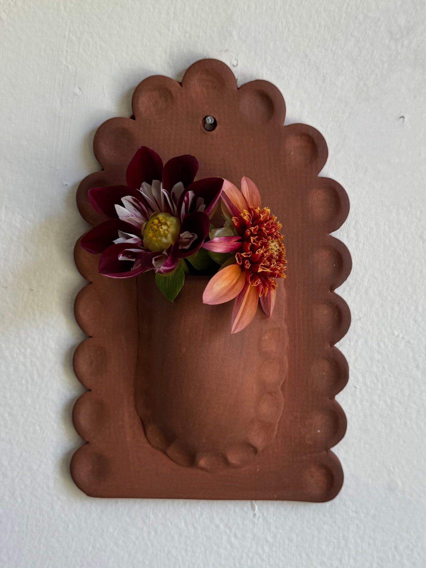Natural Scallop Wall Vase