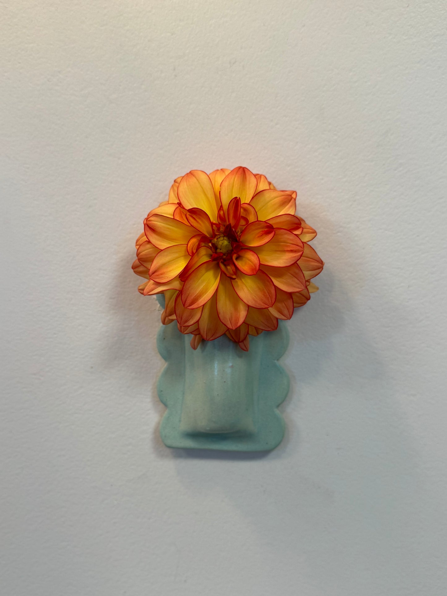 Scalloped Wall Vase