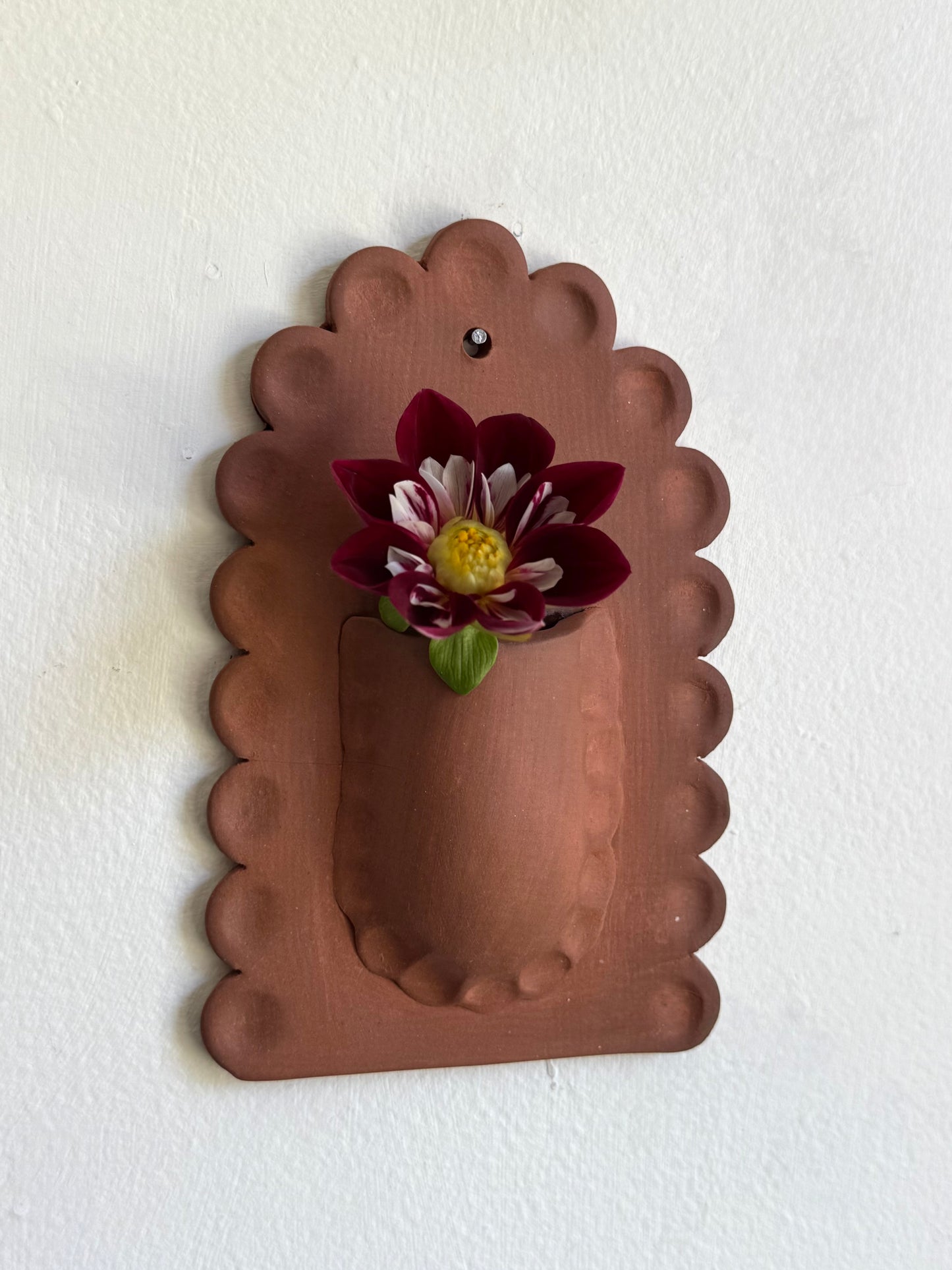 Natural Scallop Wall Vase