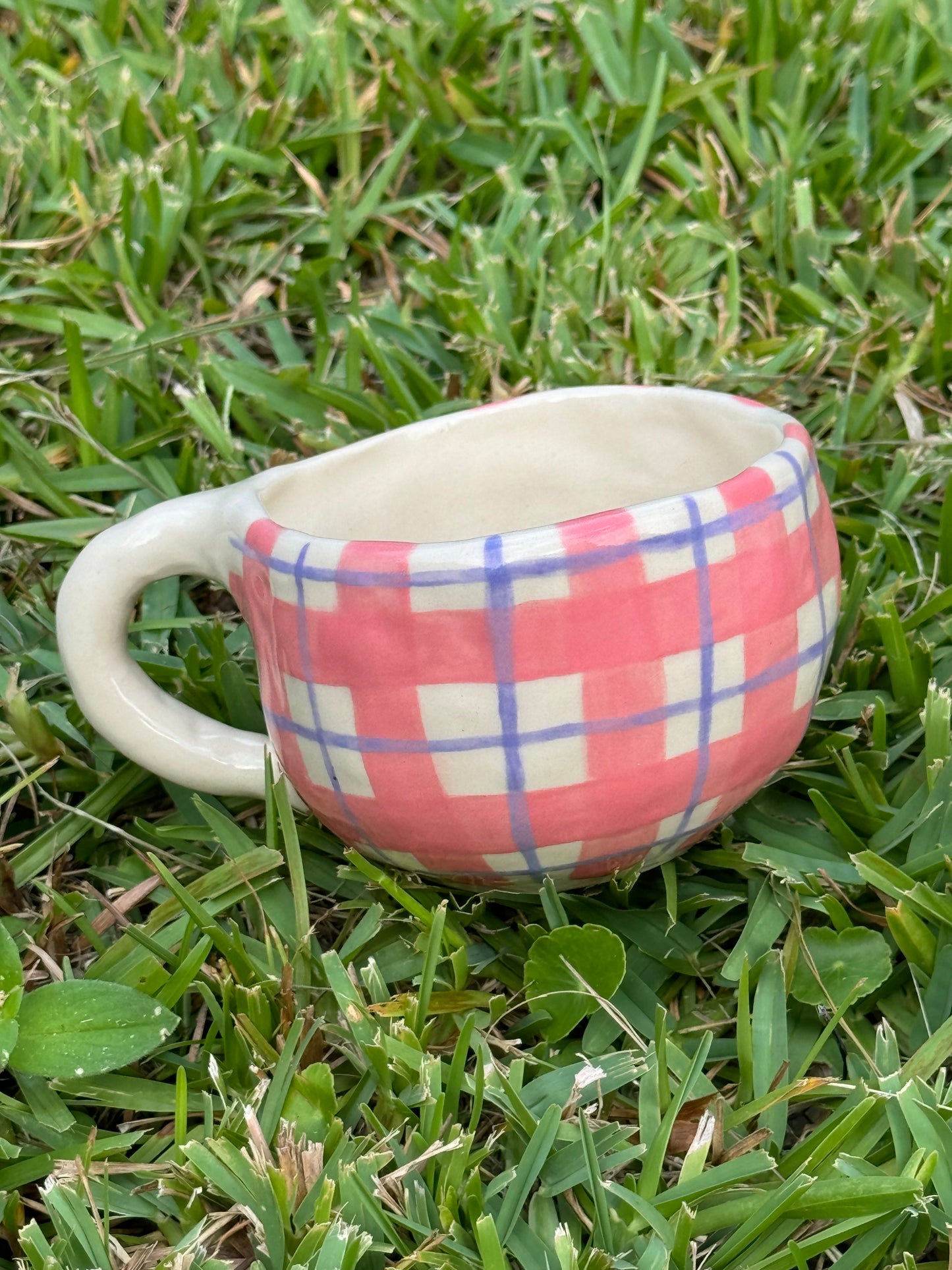 Pink Plaid Mug