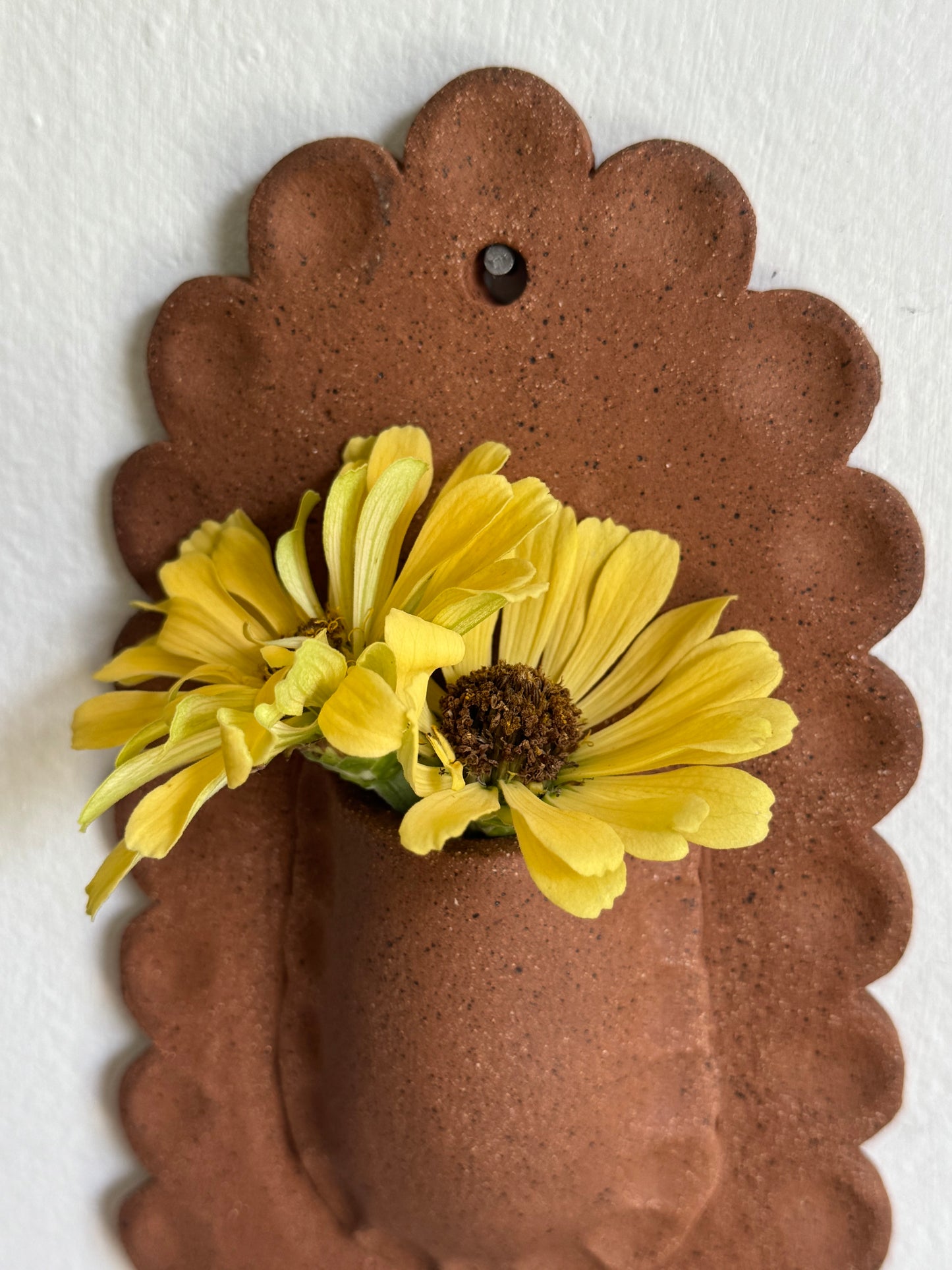 Textured Natural Scallop Wall Vase
