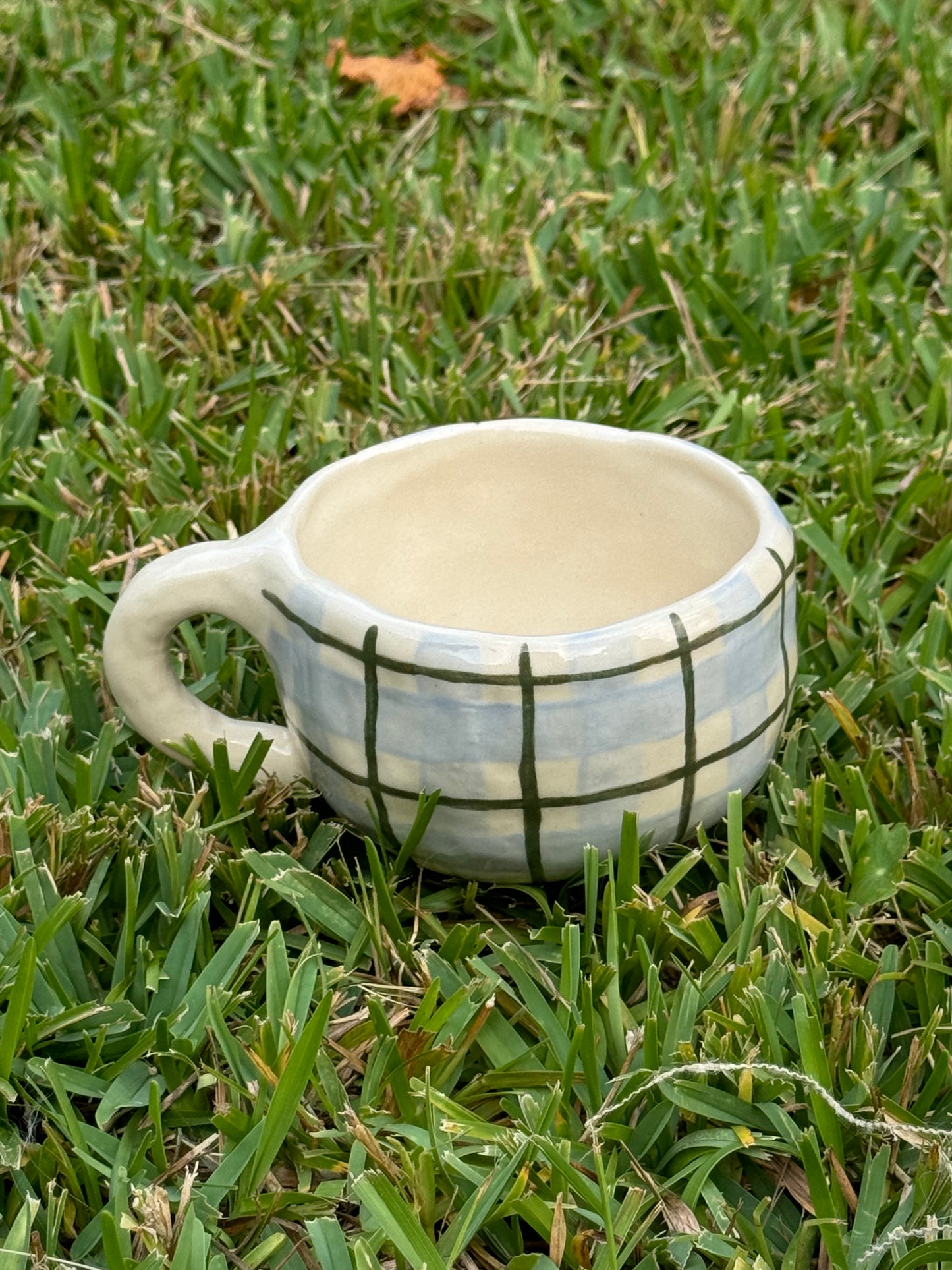 Baby Blue Plaid Mug